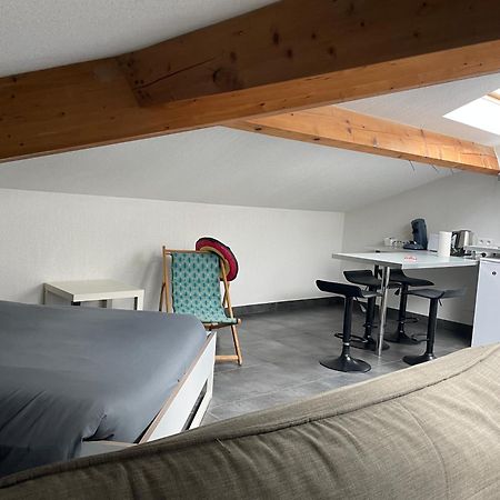 Studio7 Proche Fac Climatise อัลบี ภายนอก รูปภาพ